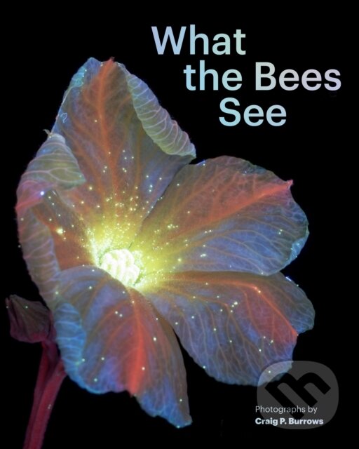 Levně What the Bees See - Craig P. Burrows - kniha z kategorie Umenie, dizajn a architektúra