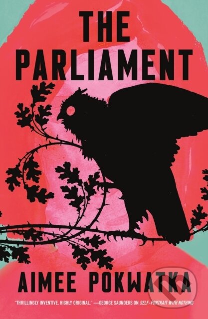 Levně The Parliament - Aimee Pokwatka - kniha z kategorie Fantasy