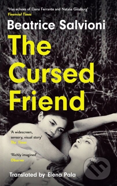 Levně The Cursed Friend - Beatrice Salvioni - kniha z kategorie Beletria
