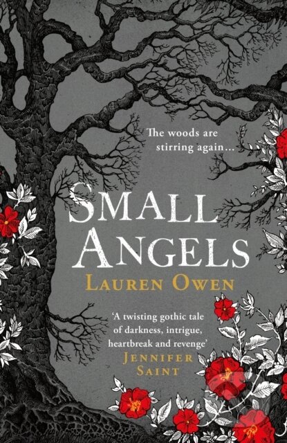 Levně Small Angels ('A twisting gothic tale of darkness, intrigue, heartbreak and revenge' Jennifer Saint) - kniha z kategorie Beletria