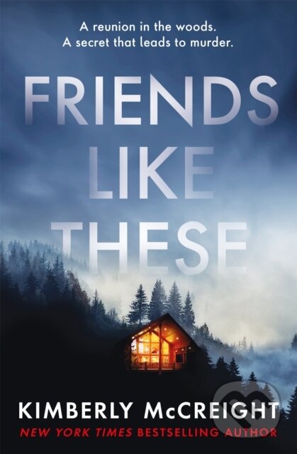 Levně Friends Like These - Kimberly Mccreight - kniha z kategorie Spoločenská beletria