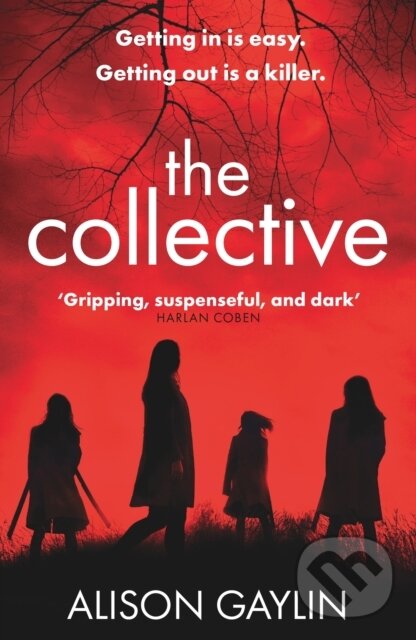 Levně The Collective - Alison Gaylin - kniha z kategorie Detektívky, trilery a horory