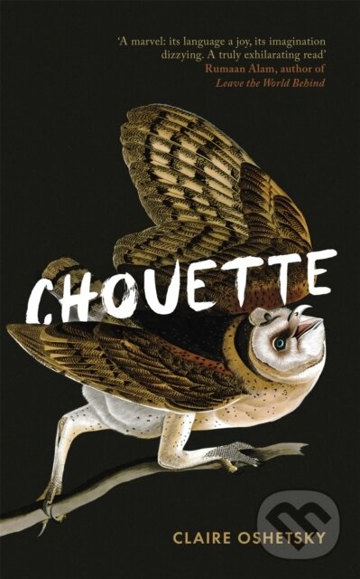 Kniha: Chouette (Claire Oshetsky). Virago, 2021
