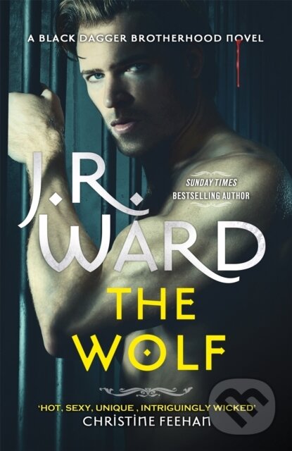 Levně The Wolf (The dark and sexy spin-off series from the beloved Black Dagger Brotherhood) - kniha z kategorie Fantasy