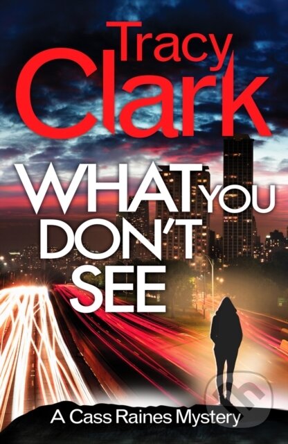 Levně What You Don't See (A gripping private investigator series) - kniha z kategorie Beletria