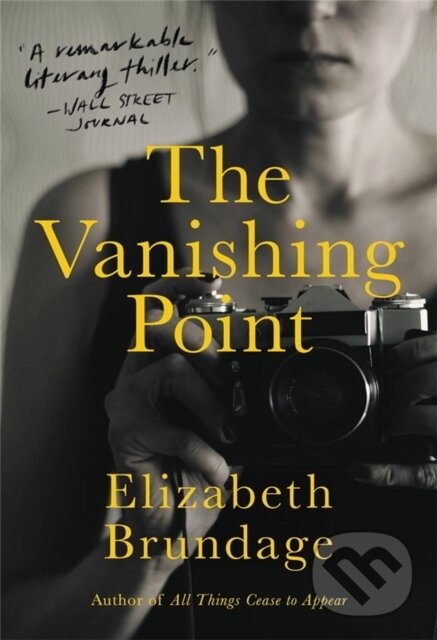 Kniha: The Vanishing Point (Elizabeth Brundage). Back Bay Books, 2022