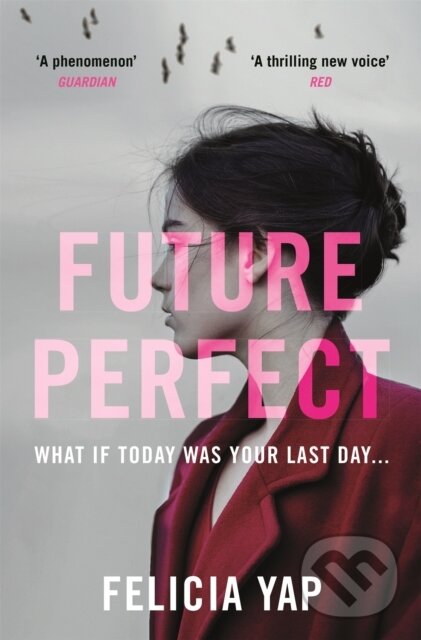 Levně Future Perfect (The Most Exciting High-Concept Novel of the Year) - kniha z kategorie Thrillery