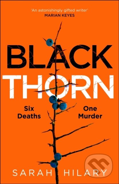 Levně Black Thorn - Sarah Hilary - kniha z kategorie Beletria