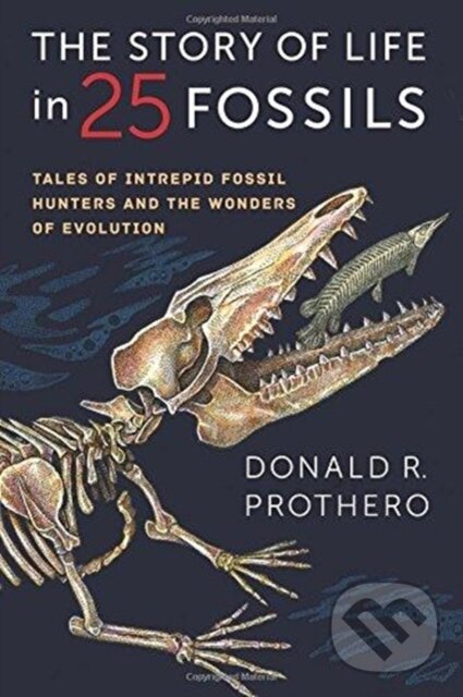 Levně The Story of Life in 25 Fossils (Tales of Intrepid Fossil Hunters and the Wonders of Evolution) - kniha z kategorie Matematika