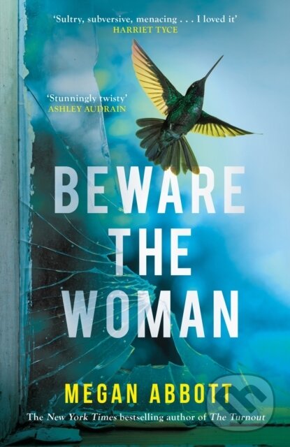 Levně Beware the Woman (The twisty, unputdownable new thriller about family secrets by the New York Times bestselling author) - kniha z kategorie…