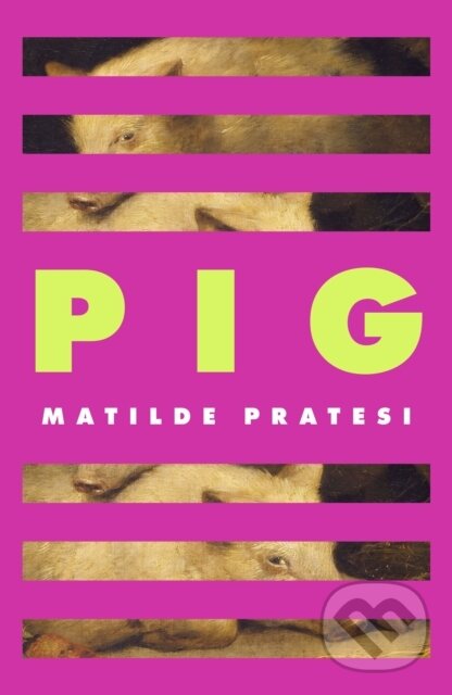 Pig ('Unsettled me from the start and kept me engrossed to the end' Daily Mail) - kniha z kategorie Spoločenská beletria