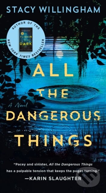 Levně All the Dangerous Things (A Novel) - Stacy Willingham - kniha z kategorie Beletria