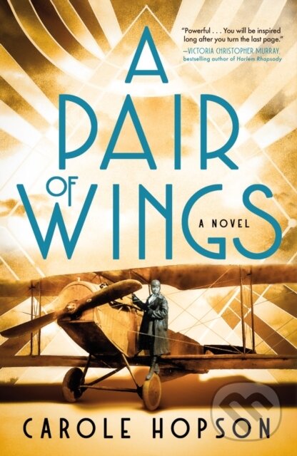 Kniha: A Pair of Wings (Carole Hopson). Henry Holt and Company, 2025