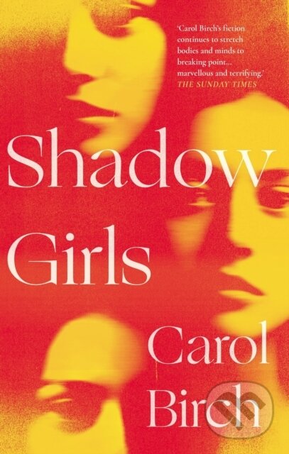 Levně Shadow Girls - Carol Birch - kniha z kategorie Spoločenská beletria