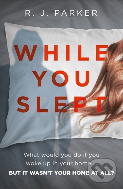 Levně While You Slept - R. J. Parker - kniha z kategorie Beletria