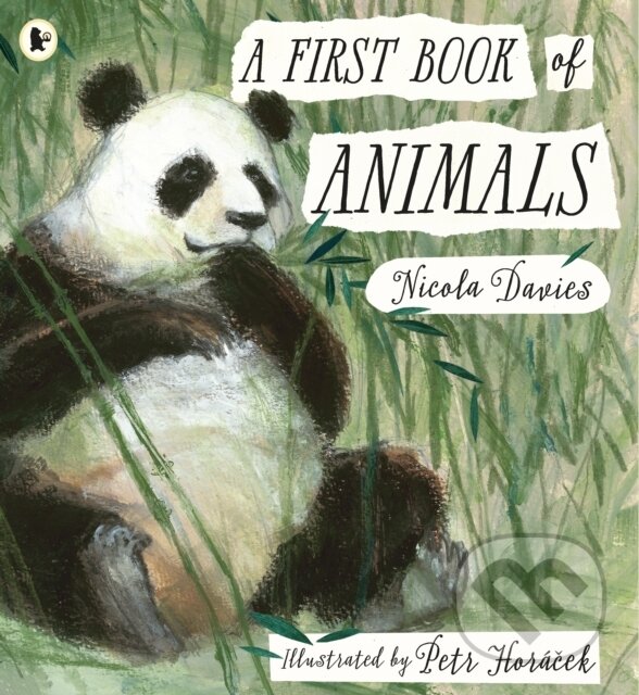 Kniha: A First Book of Animals (Nicola Davies). Walker books, 2019