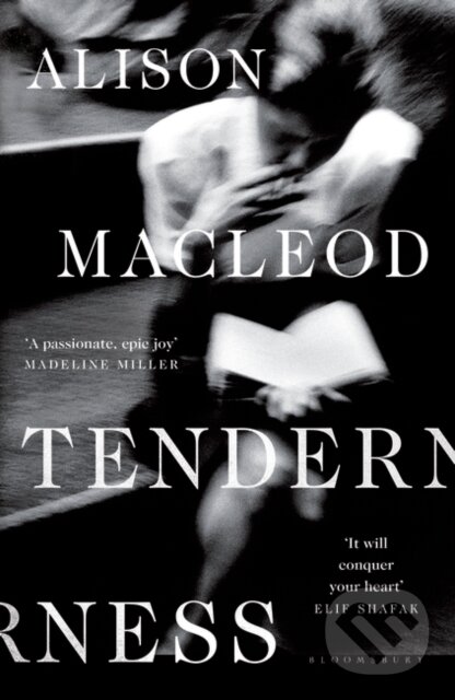 Levně Tenderness - MacLeod Alison MacLeod - kniha z kategorie Beletria