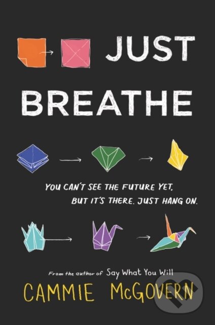 Kniha: Just Breathe (Cammie McGovern). HarperCollins, 2021