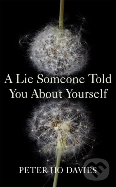 Levně A Lie Someone Told You About Yourself - Peter Ho Davies
