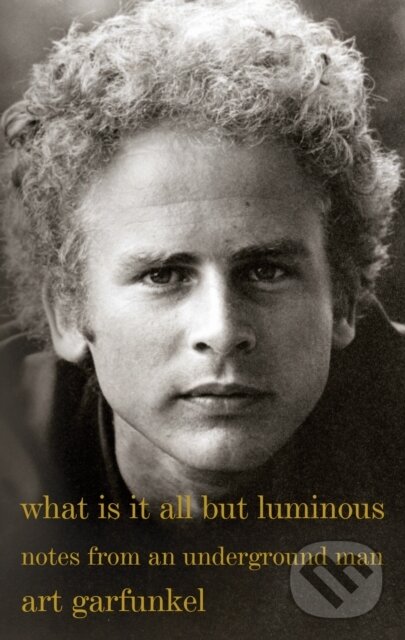 Levně What Is It All but Luminous (Notes from an Underground Man) - kniha z kategorie Životopisy