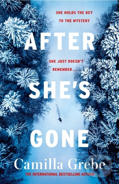 Levně After She's Gone - Camilla Grebe - kniha z kategorie Thrillery