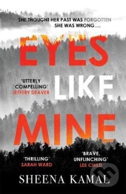 Levně Eyes Like Mine ('Utterly compelling . . . Will stay with you for a long, long time' Jeffery Deaver) - kniha z kategorie Thrillery