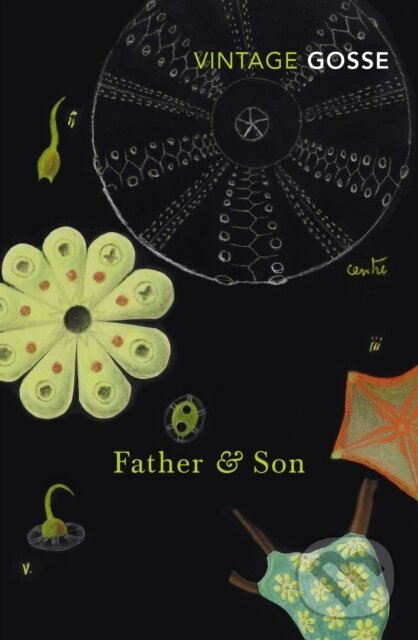 Levně Father and Son - Edmund Gosse - kniha z kategorie Životopisy, reportáže a myšlienky