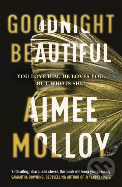 Levně Goodnight, Beautiful (The utterly gripping psychological thriller full of suspense)