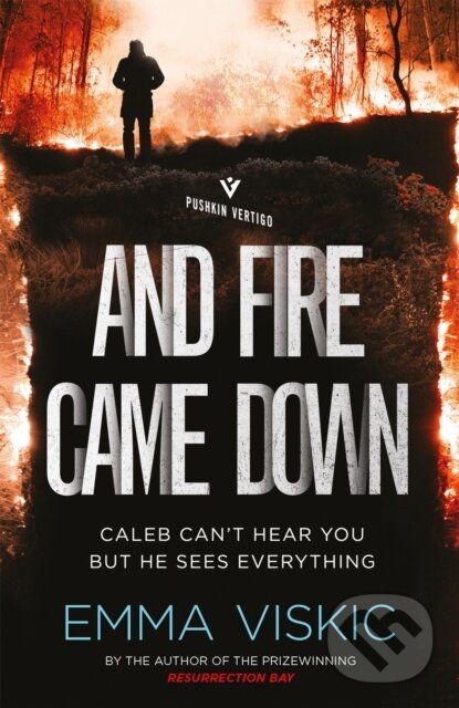 Levně And Fire Came Down - Emma Viskic - kniha z kategorie Detektívky, trilery a horory