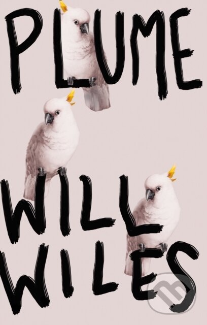 Levně Plume - Will Wiles - kniha z kategorie Beletria