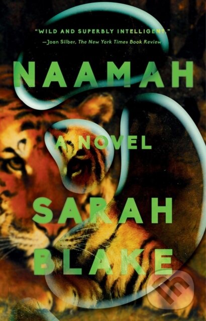 Levně Naamah (A Novel) - Sarah Blake - kniha z kategorie Fantasy