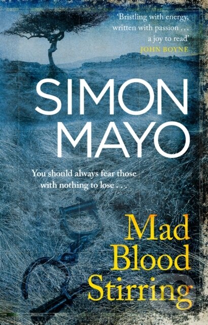 Levně Mad Blood Stirring - Simon Mayo - kniha z kategorie Beletria