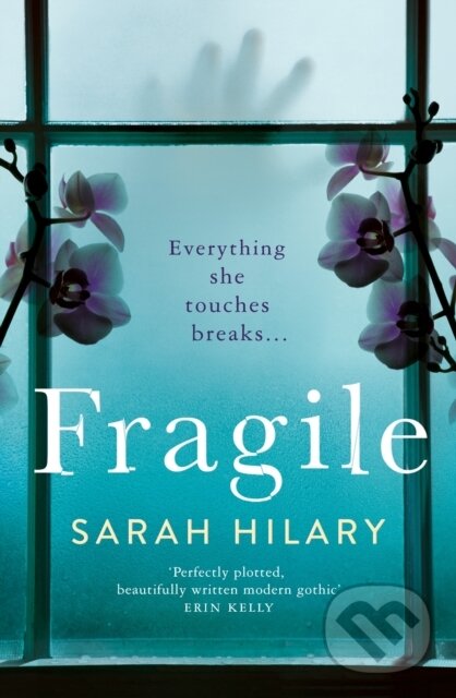 Levně Fragile - Sarah Hilary - kniha z kategorie Spoločenská beletria