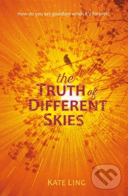 Levně Ventura Saga: The Truth of Different Skies (Book 3) - kniha z kategorie Pre deti a mládež