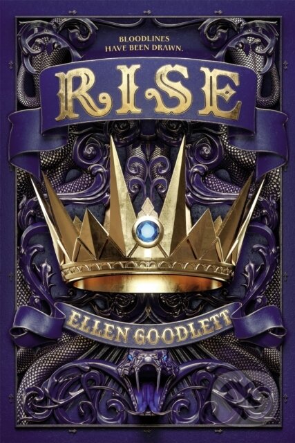 Kniha: Rise (Ellen Goodlett). Little, Brown Young Readers, 2020