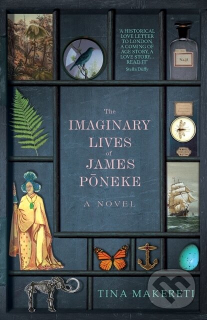 Levně The Imaginary Lives of James Poneke - Tina Makereti - kniha z kategorie Beletria