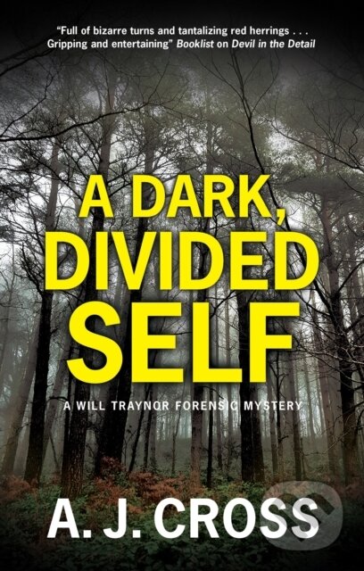 Levně A Dark, Divided Self - A.J. Cross - kniha z kategorie Beletria