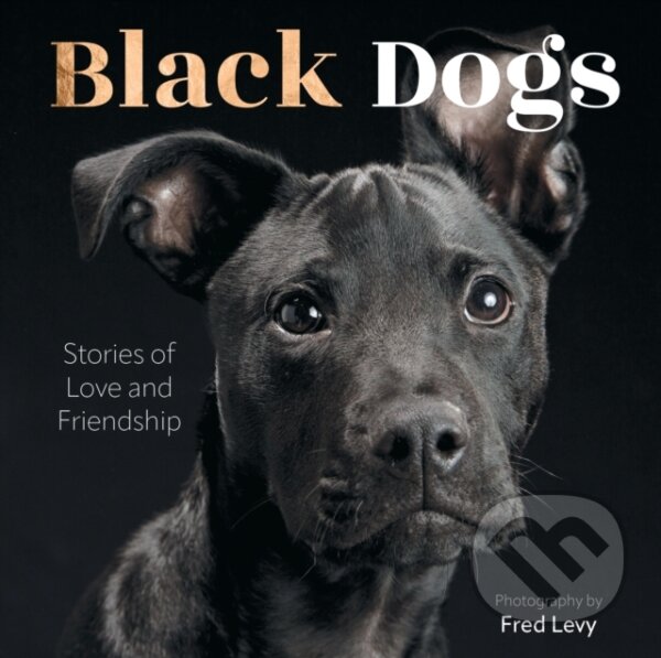 Levně Black Dogs (Stories of Love and Friendship) - Fred Levy - kniha z kategorie Zdravie a životný štýl