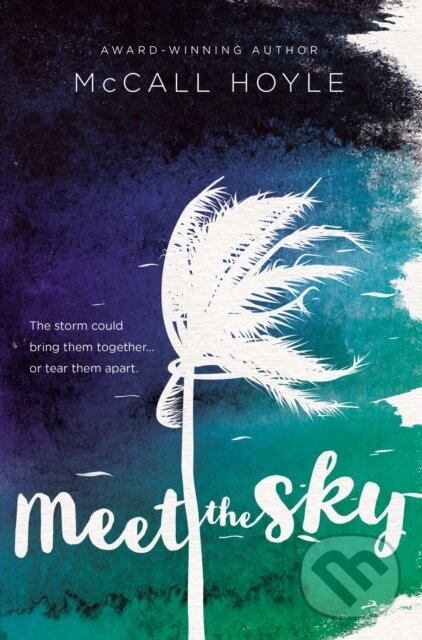 Levně Meet the Sky - Mccall Hoyle - kniha z kategorie Pre deti a mládež