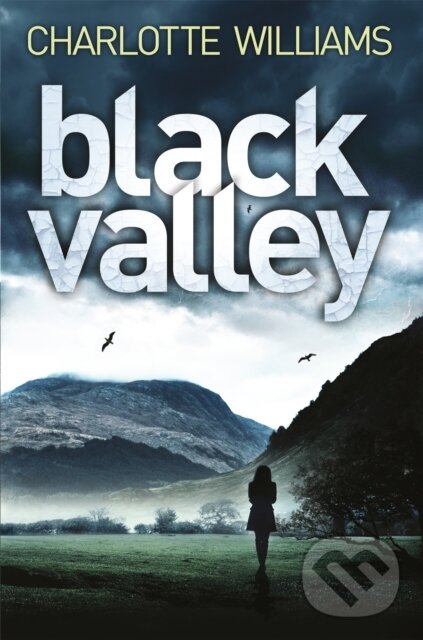 Levně Black Valley - Williams Charlotte - kniha z kategorie Detektívky, trilery a horory