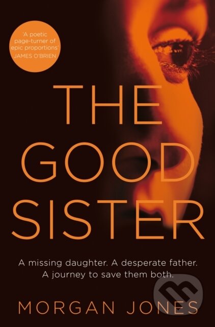 Kniha: The Good Sister (Morgan Jones). Pan Books, 2019