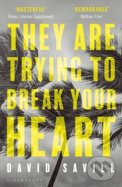 They are Trying to Break Your Heart - David Savill