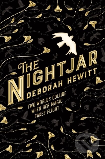 Levně The Nightjar - Deborah Hewitt - kniha z kategorie Beletria