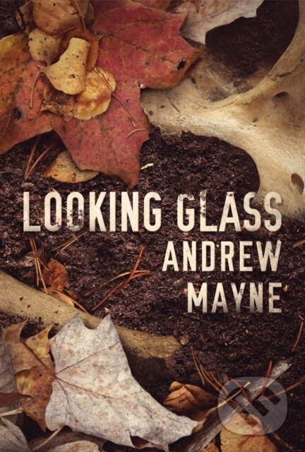 Levně Looking Glass - Andrew Mayne - kniha z kategorie Detektívky, trilery a horory