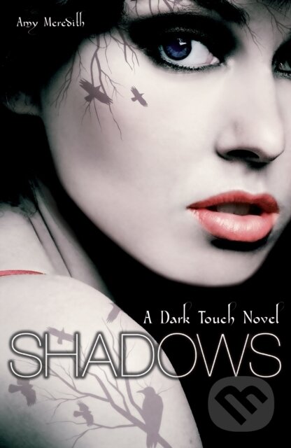 Levně Dark Touch: Shadows - Amy Meredith - kniha z kategorie Beletria
