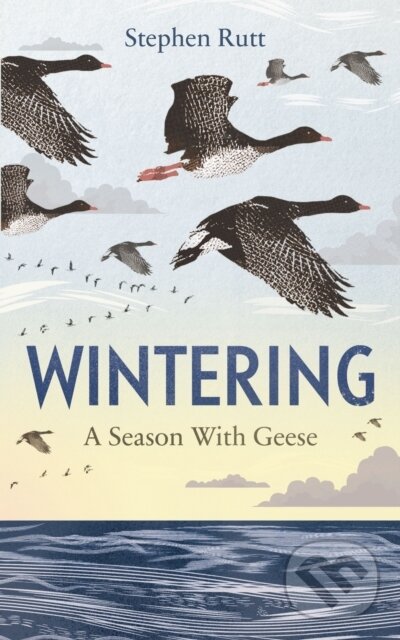 Levně Wintering (A Season With Geese) - Stephen Rutt - kniha z kategorie Zdravie a životný štýl