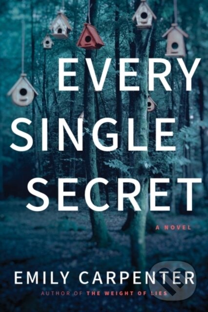 Levně Every Single Secret (A Novel) - Emily Carpenter - kniha z kategorie Spoločenská beletria