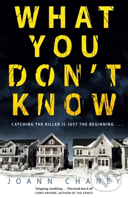 Levně What You Don't Know - JoAnn Chaney - kniha z kategorie Thrillery