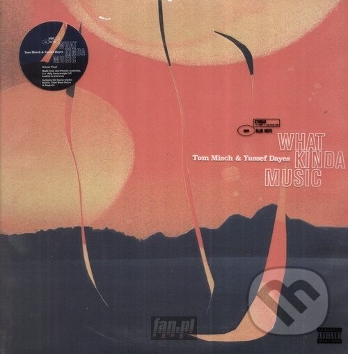 Hudební CD: Tom Misch & Yussef Dayes: What Kinda Music (Bertus). Bertus, 2020