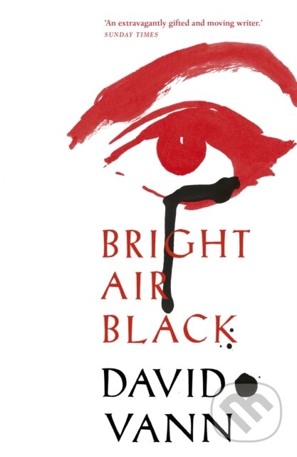 Levně Bright Air Black - David Vann - kniha z kategorie Beletria